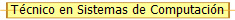 T�cnico en Sistemas de Computaci�n