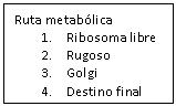 Cuadro de texto: Ruta metab�lica
1.	Ribosoma libre
2.	Rugoso
3.	Golgi
4.	Destino final
