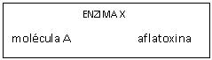 Cuadro de texto:                              ENZIMA X
mol�cula A                       aflatoxina
