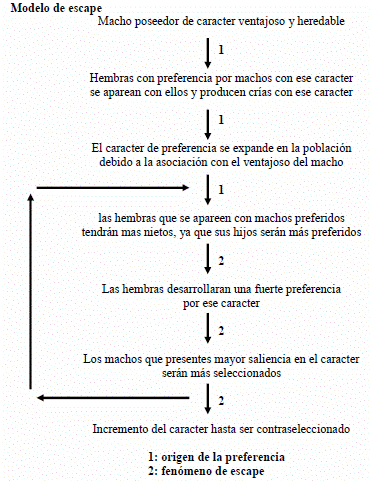 Escala de tiempoDescripcin generada automticamente con confianza media