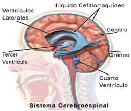 http://scienza-sa.com/proyectos/es141668.jpg