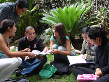 Universidad Mesoamericana